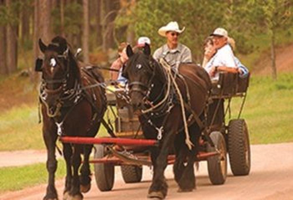 Lodge At Palmer Gulch Hill City Εξωτερικό φωτογραφία